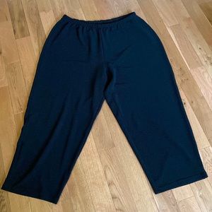 Plus size black stretch pants.